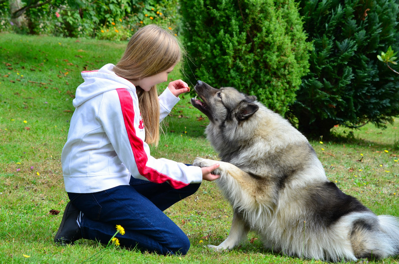 Choisir d’adopter un chien pour votre enfant