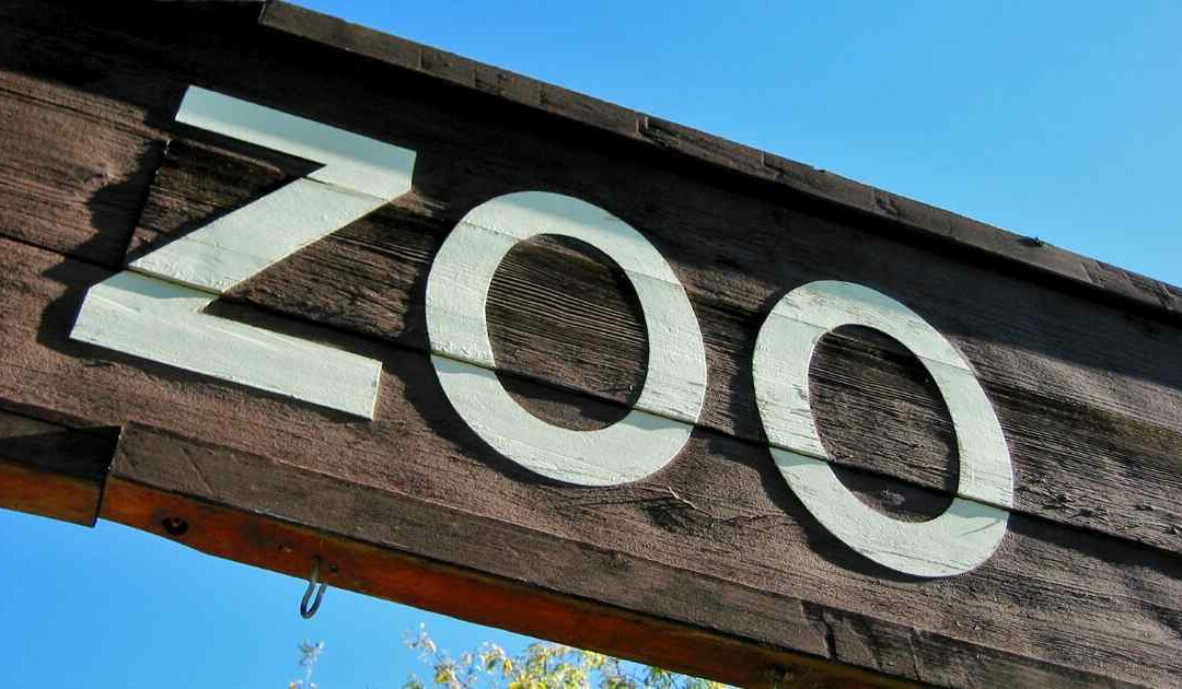 Zoo de Beauval