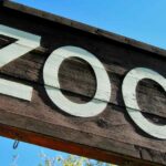 Zoo de Beauval