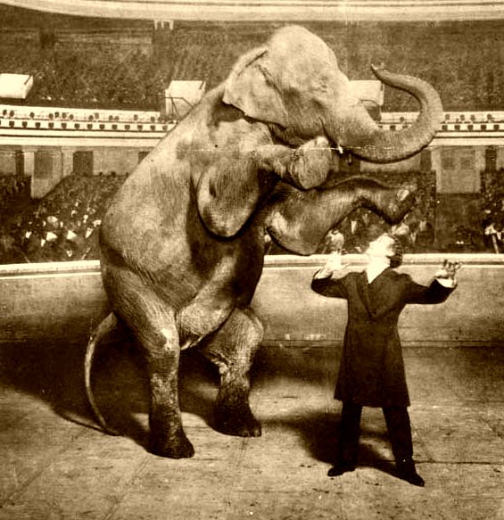 Harry Houdini lors de son célèbre spectacle de prestidigitation avec un éléphant.