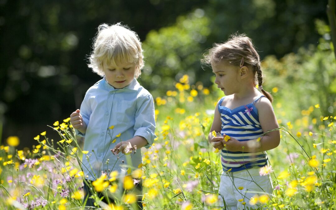 Little Boy And Girl Picking Flowers In The Parc