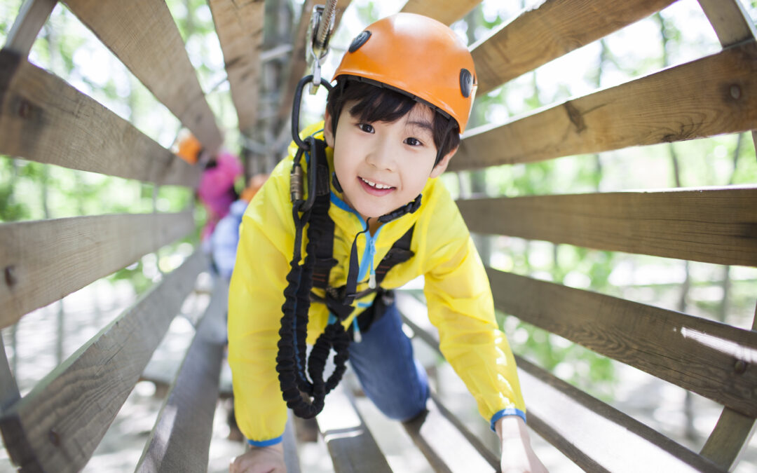 Little boy playing in tree top adventure park